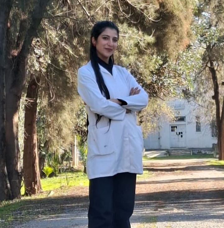 Souha Souha